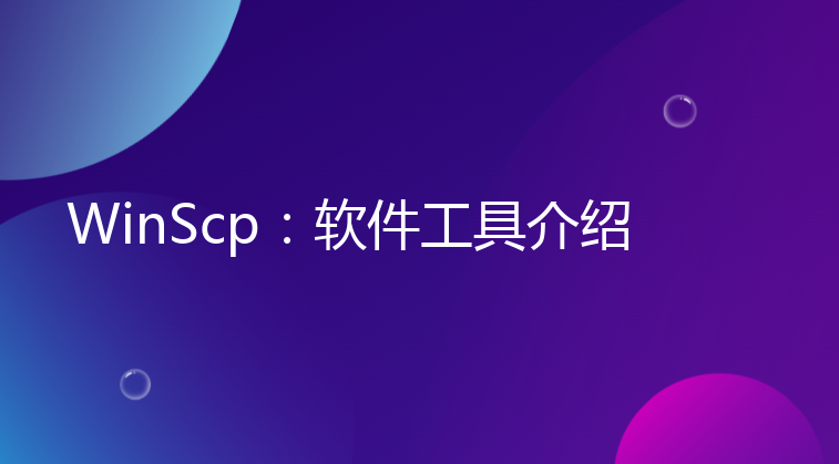 WinScp：FTP传输软件工具介绍，附下载地址